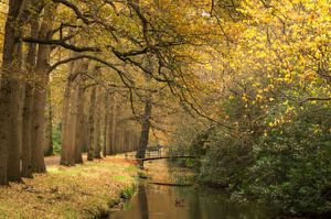 Herbst in De Horsten (Die Niederlande) von Birgitte Bergman