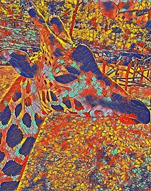 Art Giraffe  by Vaduchi ..