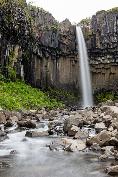 Chute d'eau de Svartifoss par Tine Depré