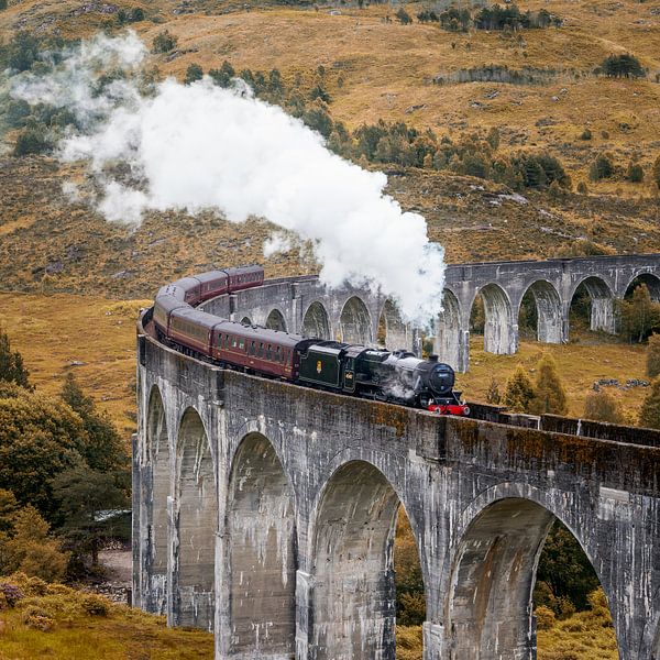 Harry Potter train - Scotland Glennfinnan viaduct by Keesnan Dogger Fotografie