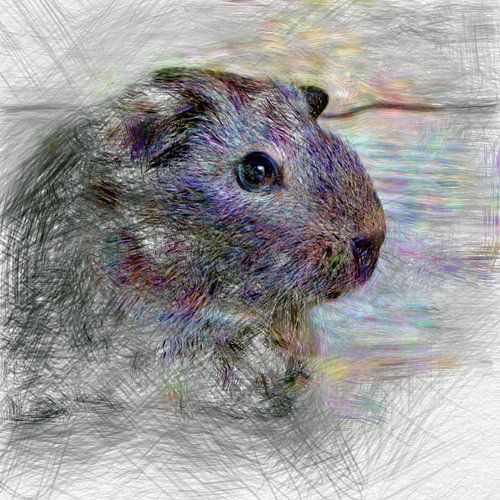 Artistic Animal Guinea Pig