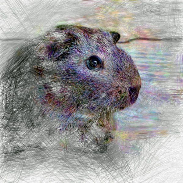 Artistic Animal Guinea Pig von Angelika Möthrath