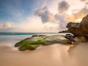 Sonnenuntergang an den Felsen des  Intendance Beach von Denis Feiner Miniaturansicht
