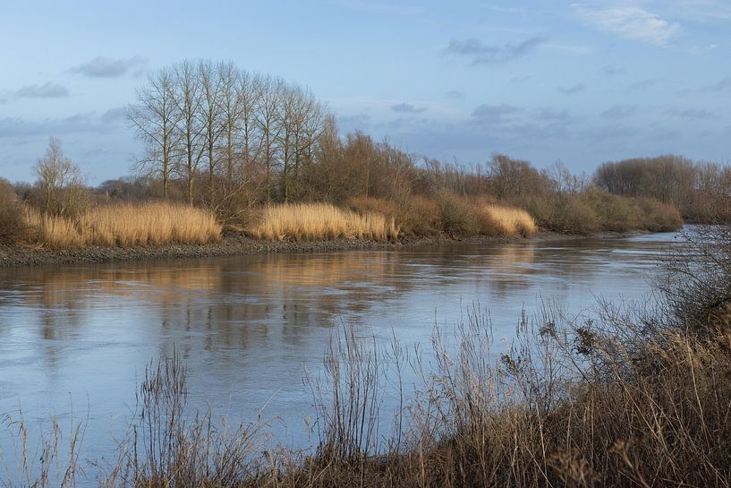 Vue de l'Escaut, près de Dendermonde, Belgique par Imladris Images