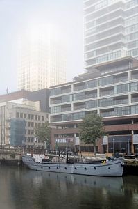 Wijnhaven im Nebel