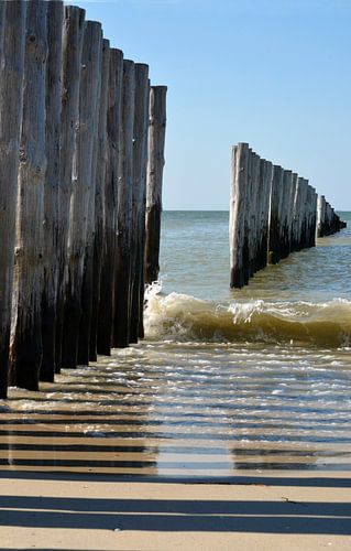 Plage avec surf et perches dans la mer