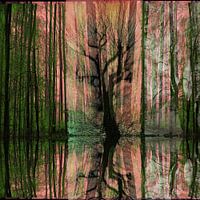 FORÊT MYSTIQUE 01 JOUR