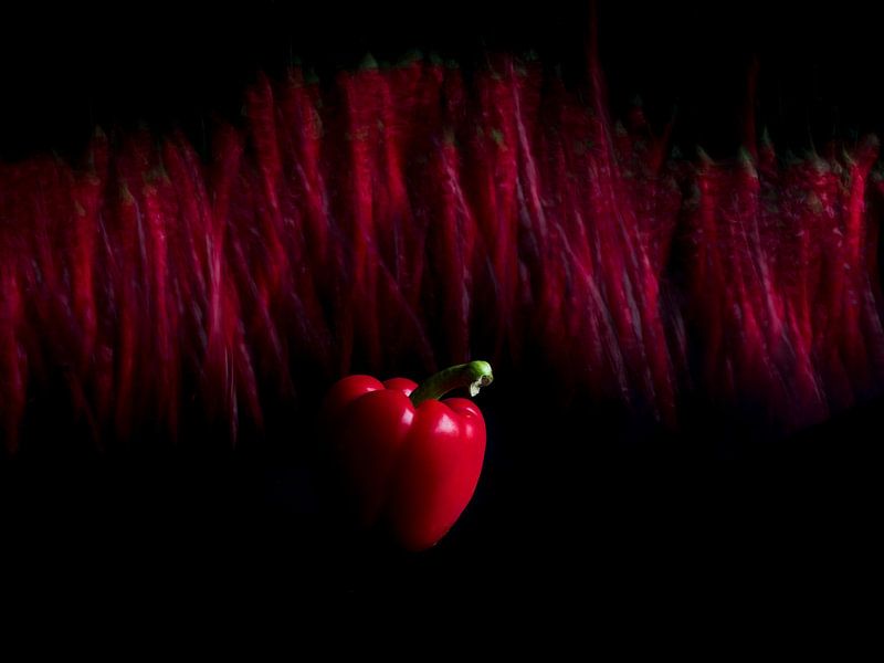 healthy set (series 4/4) by Mariska Vereijken