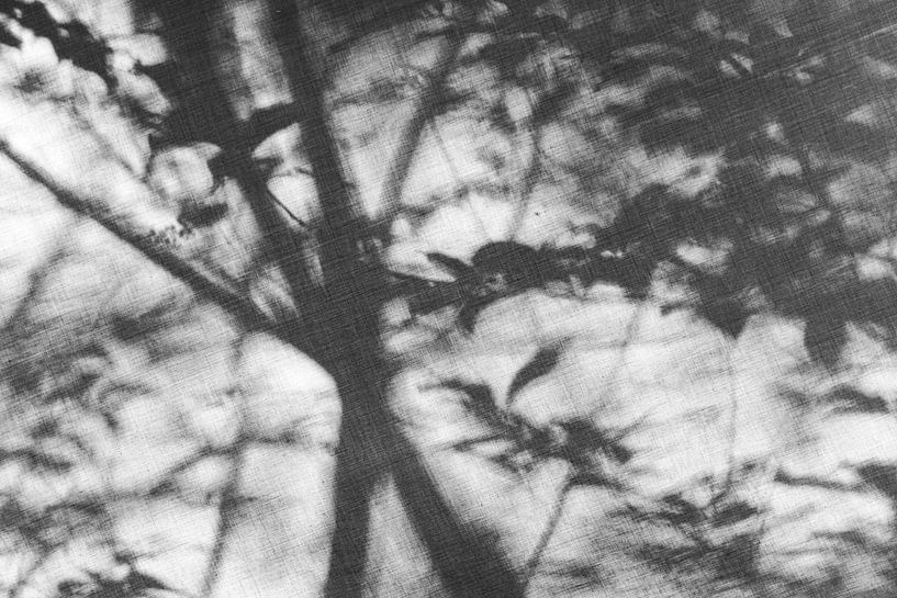 Forêt de rêve #2 - noir/blanc par Floris Kok
