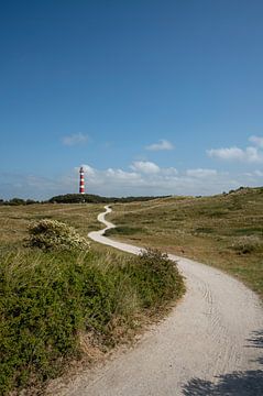 Bornrif lighthouse on Ameland by Peter Bartelings