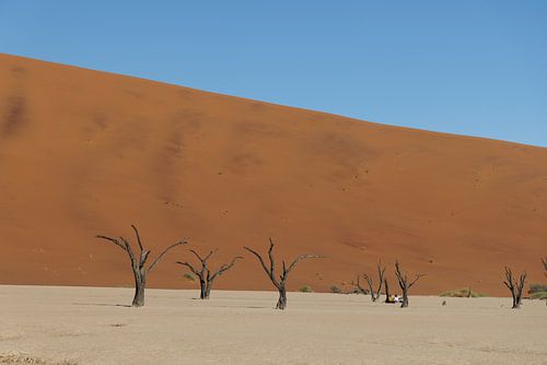 Zittend paar tussen de 'bomen' van Dodevlei