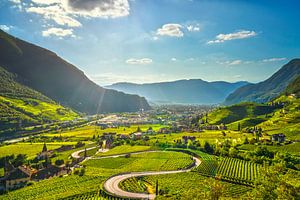 Blick auf die Weinberge in Bozen, Südtirol, Italien