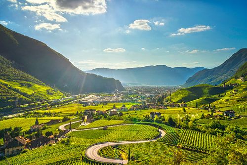 Uitzicht op wijngaarden in Bozen, Zuid-Tirol, Italië