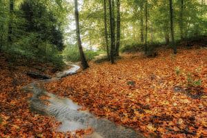 Autumn by Moetwil en van Dijk - Fotografie