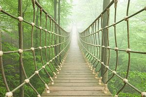 Hängebrücke im Nebelwald