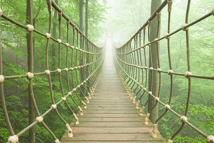 Hängebrücke im Nebelwald von Jiri Viehmann