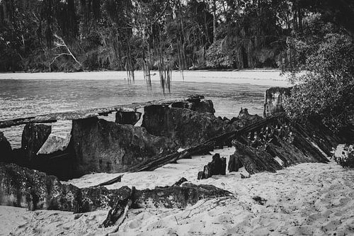 l'épave d'un mouton en noir et blanc