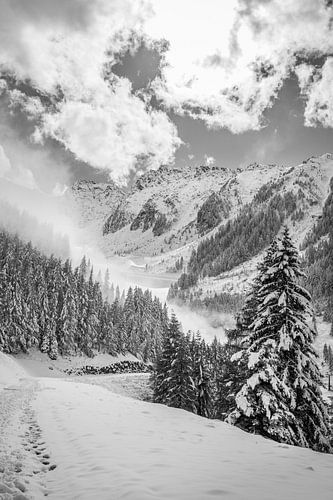 Winterwandelpad op de Klausberg in het Ahrntal, Zuid-Tirol