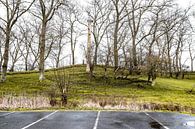 Natuurlijk contrast: parkeerplaats aan de rand van de natuur van Joy Mennings thumbnail