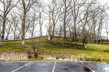 Contraste naturel : parking à la limite de la nature
