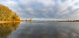 High water in the river IJssel near Zutphen.