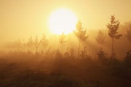 Morning moods by LHJB Photography