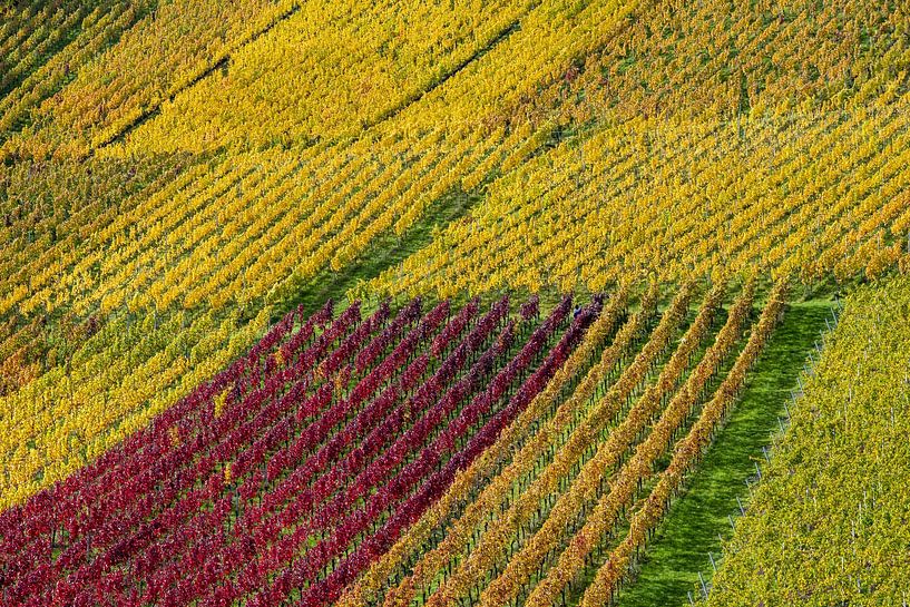 Herbst auf dem Rotenberg von Walter G. Allgöwer