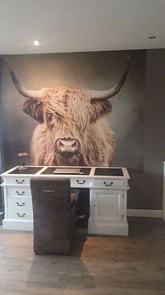 Customer photo: Scottish Highland Cow by Diana van Tankeren, as wallpaper