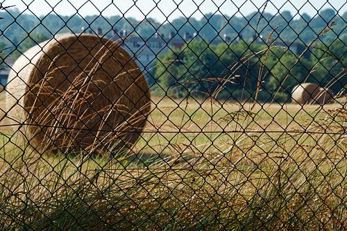 hooi opgerold in lanschap achter hek