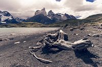 Wanderweg im Torres del Paine Nationalpark mit Ausblick auf das Torres Paine Massiv