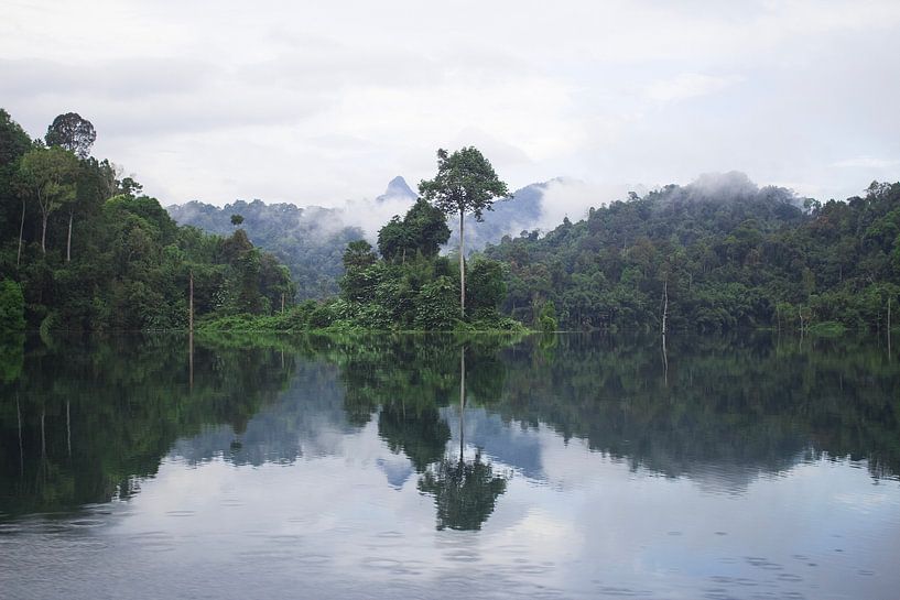 Jungle in Thailand - Khao Sok National Park by Anne Zwagers
