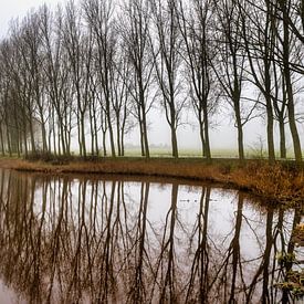 mist in Etten-Leur 2025 van Egon Zitter