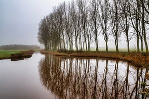 Nebel in Etten-Leur 2025