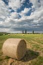 Hay rolls - Hay bales in the field by Moetwil en van Dijk - Fotografie thumbnail