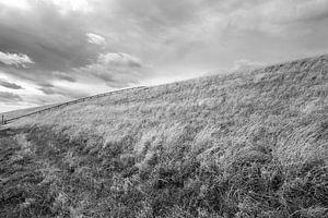 Deich bei Petten (N-H)