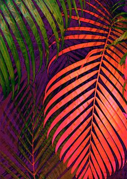 COLORFUL TROPICAL LEAVES no1 van Pia Schneider