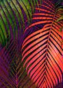 COLORFUL TROPICAL LEAVES no1 van Pia Schneider thumbnail