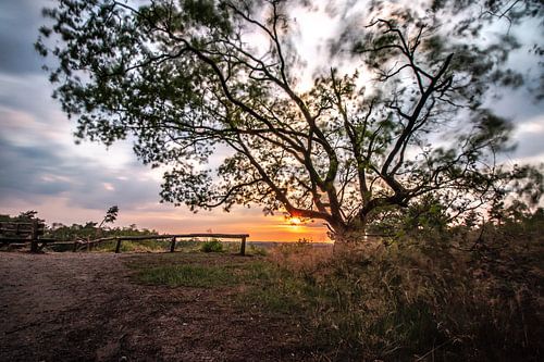 Friezenberg, Markelo, Zonsonder.