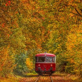 Millions Line rail bus in Autumn colours by John Kreukniet