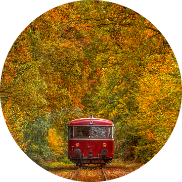 Railbus van de Miljoenenlijn in Herfstkleuren van John Kreukniet