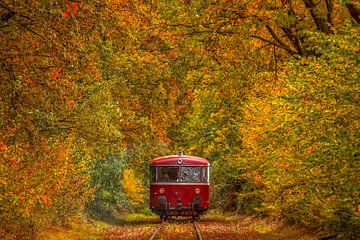 L'autobus de la ligne des millions aux couleurs de l'automne sur John Kreukniet