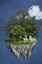 All There's Left of Earth and Cows van Marja van den Hurk thumbnail
