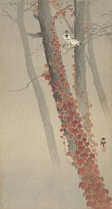 Roter Efeu von Ohara Koson