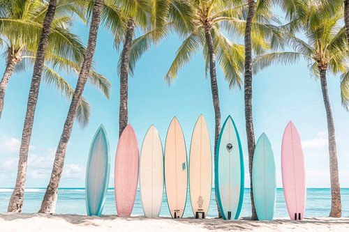 Kleurrijke surfplanken in het paradijs