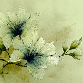 Floral Illustration Soft Green on Watercolour Background by Eva Lee