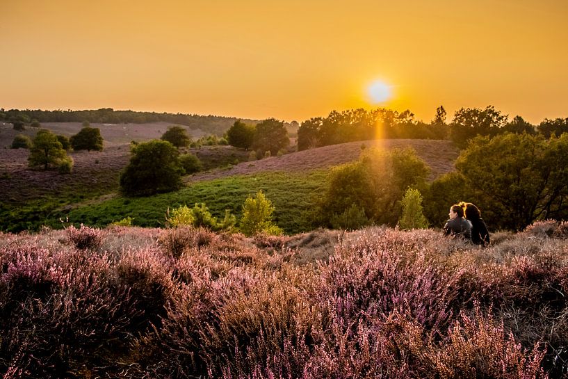 Untergehende Sonne auf der Veluwe von Marcel Krijgsman