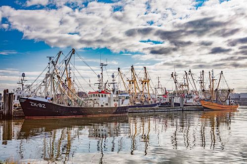 fishing boats laurel eye