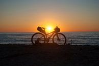 Mountain bike op het strand van Miranda Zwijgers thumbnail