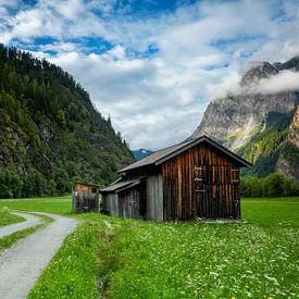 Almhut tussen de Alpen in Tirol van Ruud Engels