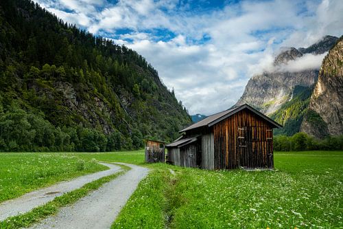 Almhut tussen de Alpen in Tirol